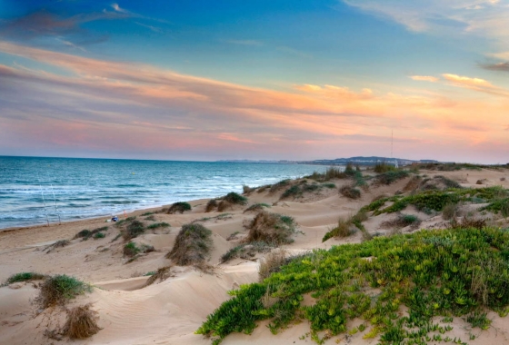 Rynek pierwotny - Apartament - San Fulgencio - La Marina