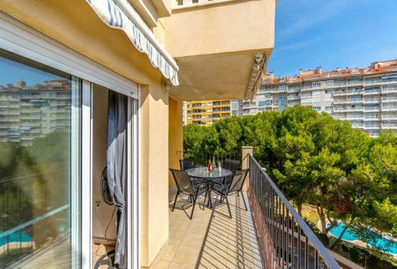 Rynek wtórny - Apartament - Orihuela Costa - Campoamor