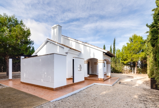 Rynek pierwotny - Detached - La Nucía - Fuente Alamo