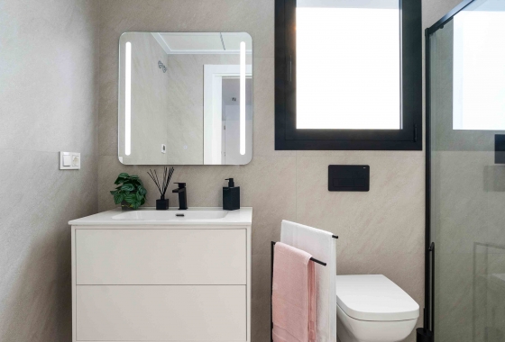 Obra nueva - Detached - Rojales