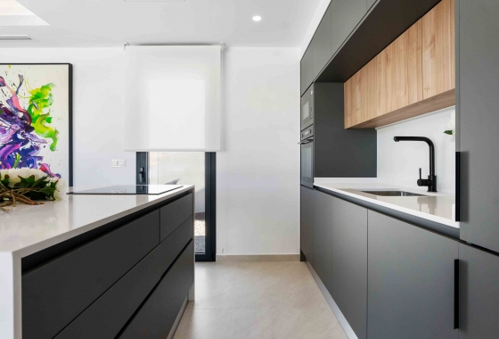 Obra nueva - Detached - Rojales