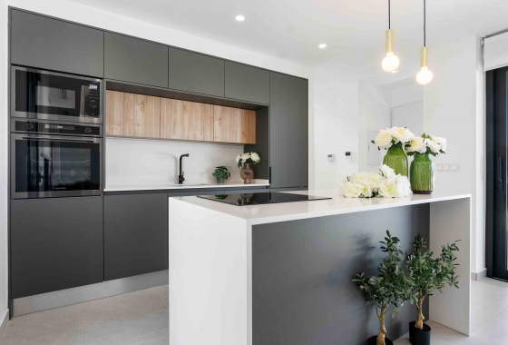 Obra nueva - Detached - Rojales