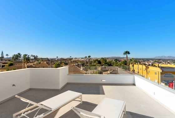 Obra nueva - Detached - Rojales