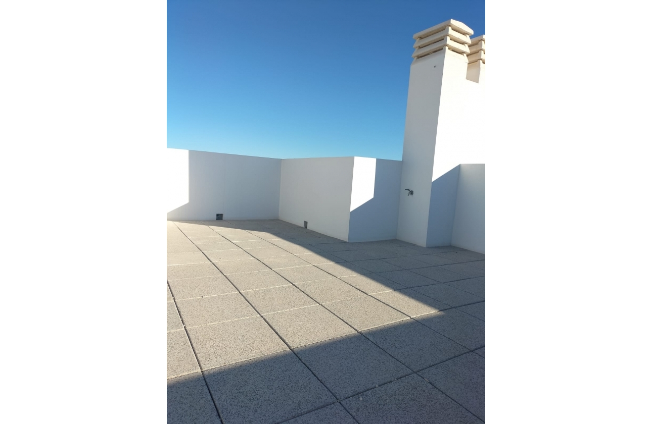 Obra nueva - Bungalow - Orihuela Costa