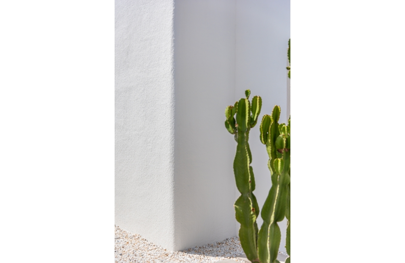 Rynek pierwotny - Detached - Los Alcazares