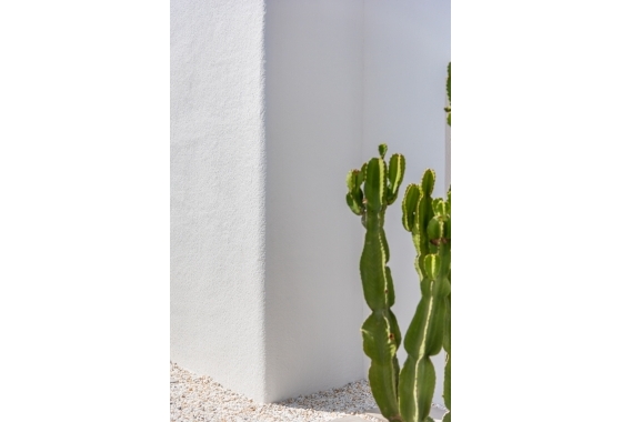 Rynek pierwotny - Detached - Los Alcazares