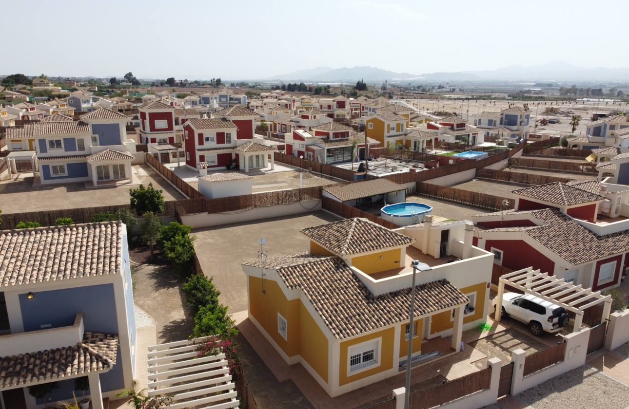 Rynek pierwotny - Detached - Purias