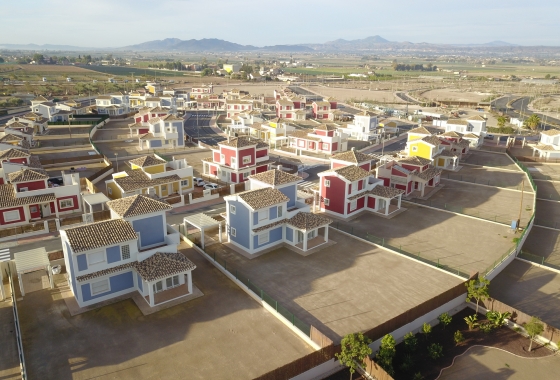 Rynek pierwotny - Detached - Purias