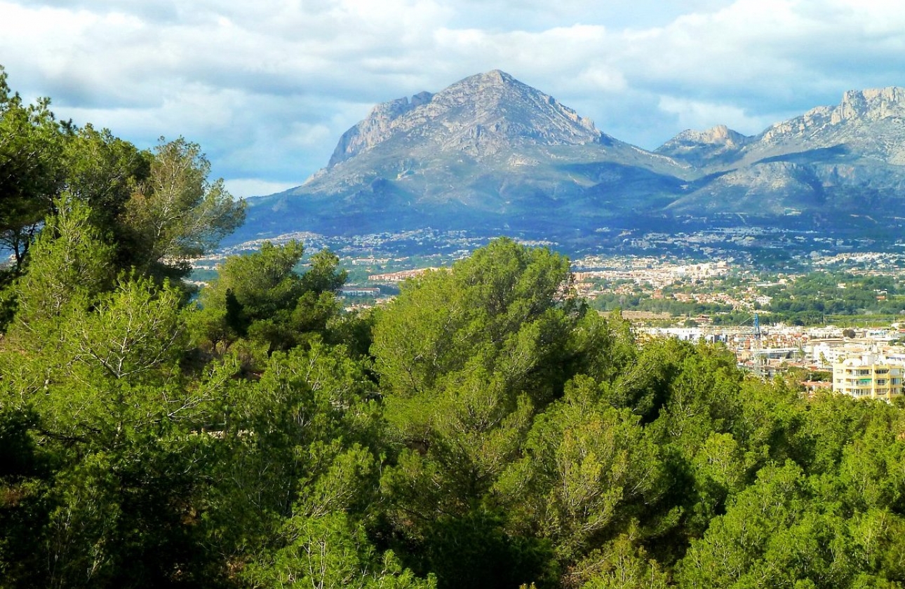 Obra nueva - Apartment - Finestrat