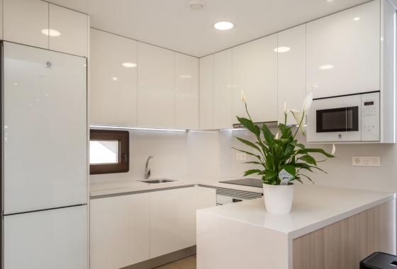 Obra nueva - Apartment - Finestrat