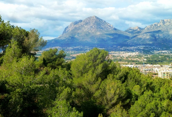 Rynek pierwotny - Apartament - Finestrat