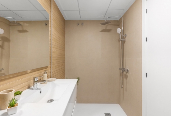 Obra nueva - Pareado - Rafal