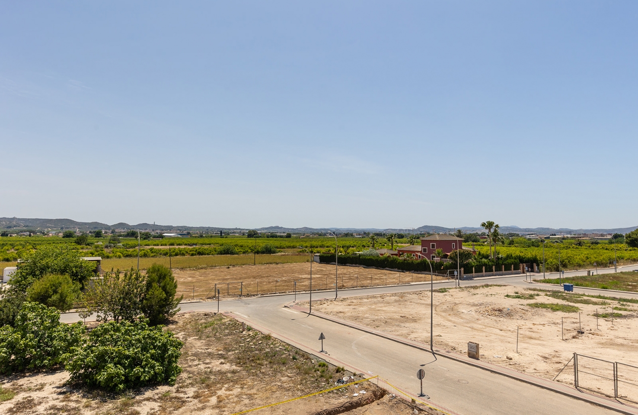 Obra nueva - Pareado - Rafal