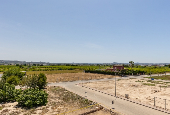 Obra nueva - Pareado - Rafal