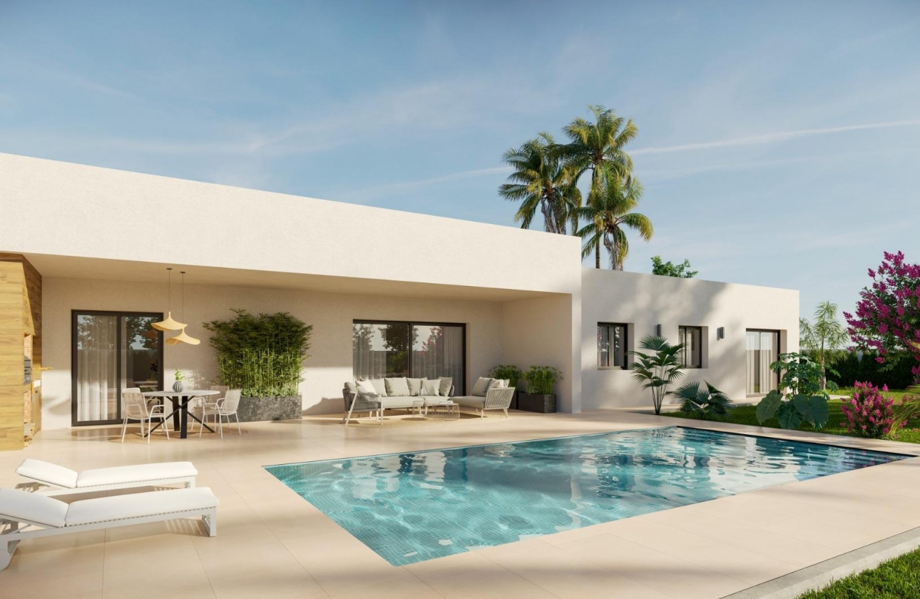 Obra nueva - Detached - Aspe