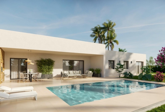 Obra nueva - Detached - Aspe