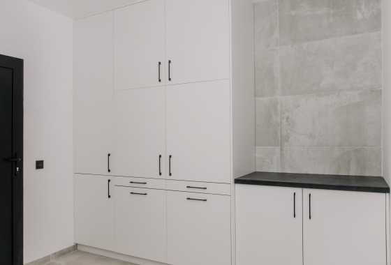 Obra nueva - Detached - Rojales