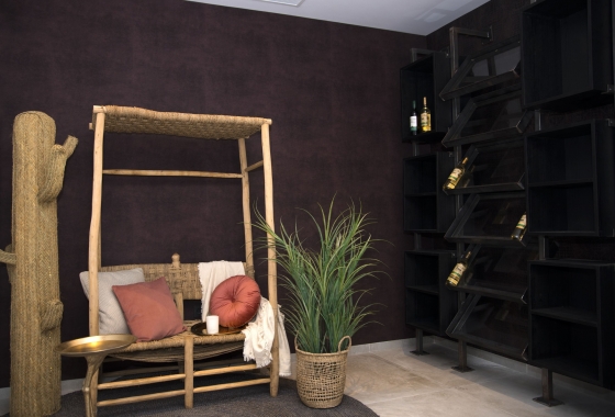 Obra nueva - Detached - Rojales