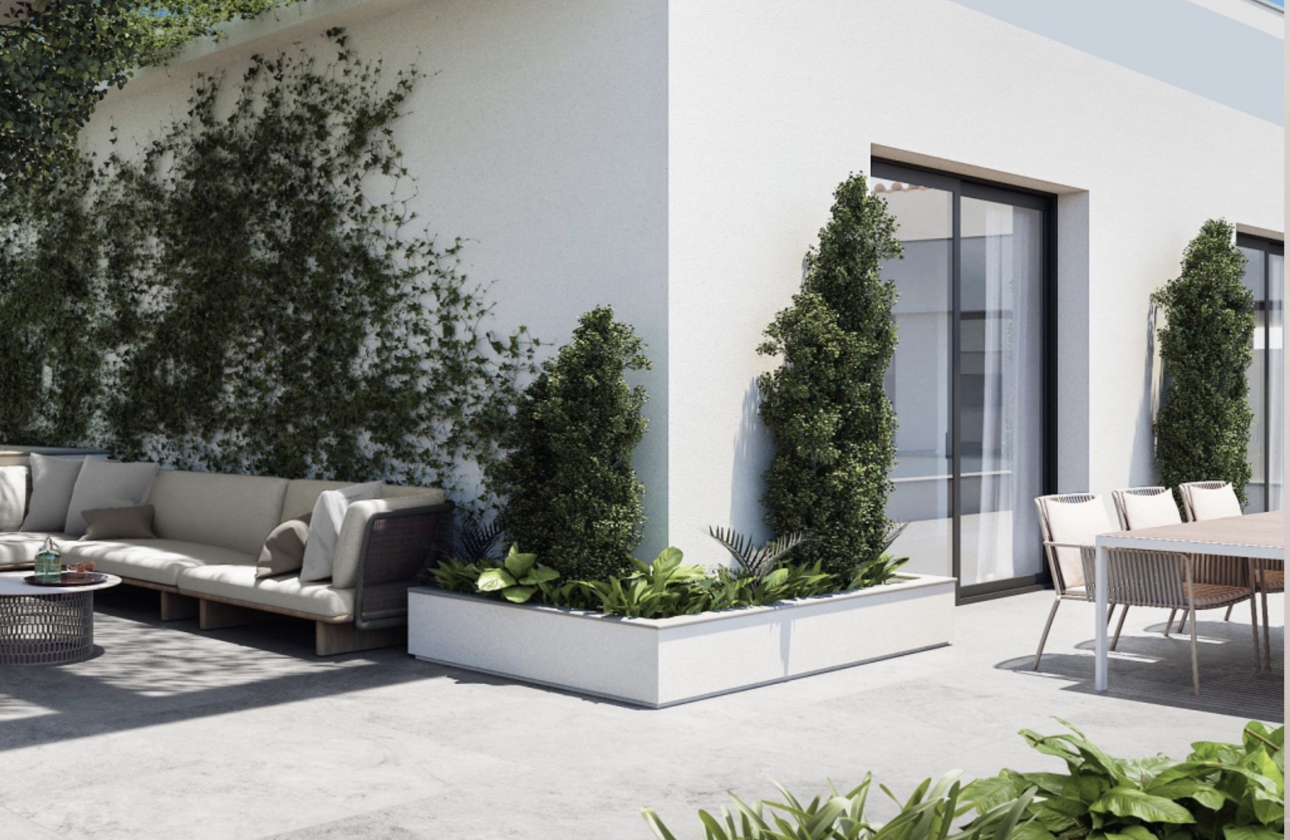 Obra nueva - Ático - Torrevieja