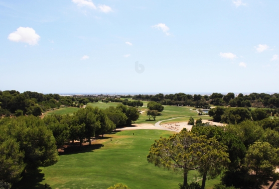 New Build - Apartment - Pinar de Campoverde