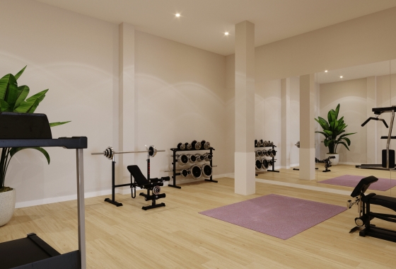 Rynek pierwotny - Penthouse - Algorfa