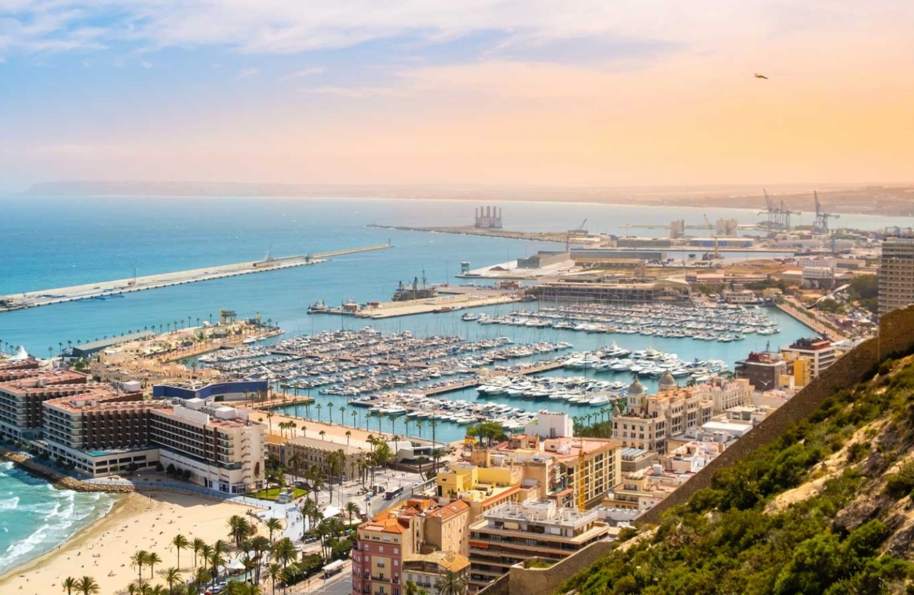 Obra nueva - Detached - Mutxamel