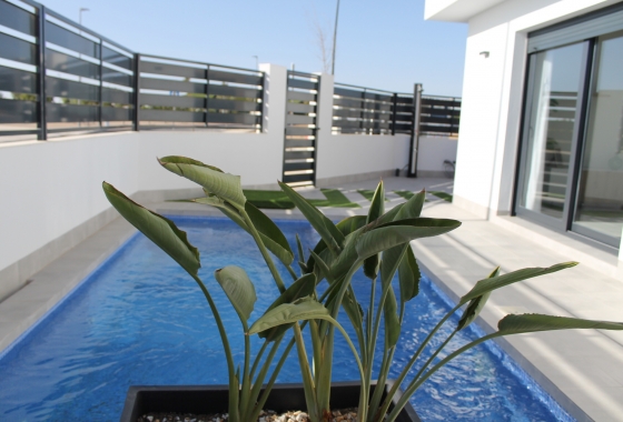 New Build - Detached - Torre Pacheco - Torre-Pacheco