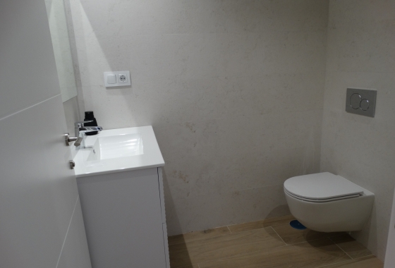 Obra nueva - Apartment - Pilar de la Horadada