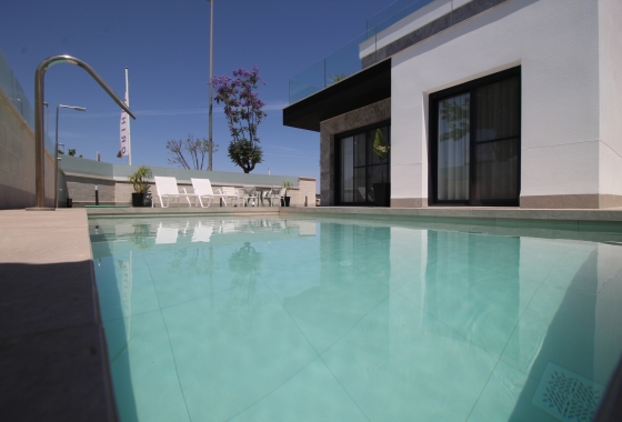 Obra nueva - Detached - Pilar de la Horadada