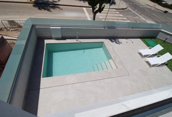 Obra nueva - Detached - Pilar de la Horadada