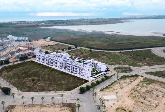New Build - Apartment - Guardamar del Segura - Guardamar del segura