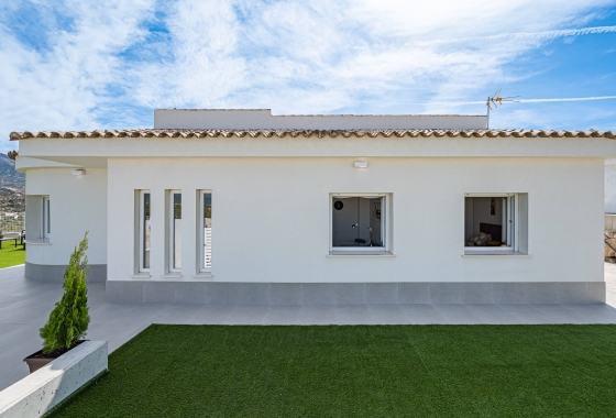 Obra nueva - Detached - Viñuela