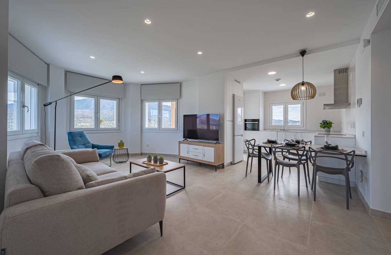 Obra nueva - Detached - Viñuela