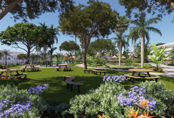 Rynek pierwotny - Apartament - La Alcaidesa