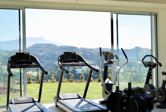 Obra nueva - Ático - Benahavís