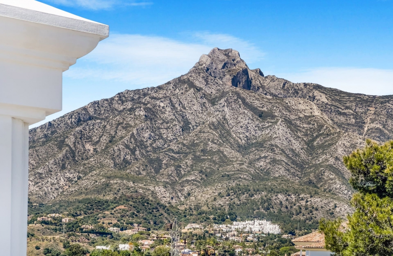 Obra nueva - Villa - Marbella