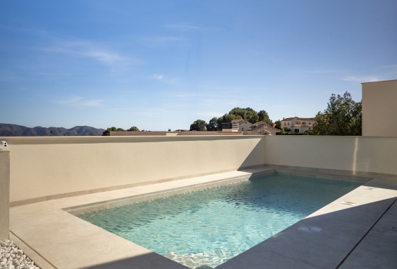 Obra nueva - Detached - La Nucía