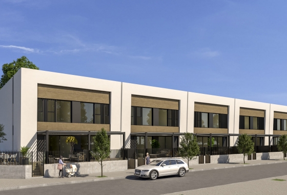 Rynek pierwotny - Szeregowiec - Dolores