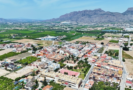 Rynek wtórny - Bliźniak - Orihuela - Los Desamparados