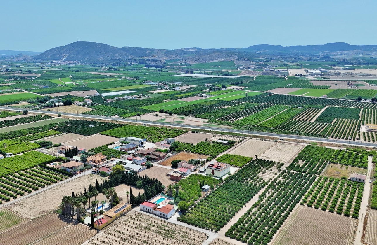 Rynek wtórny - Bliźniak - Orihuela - Los Desamparados