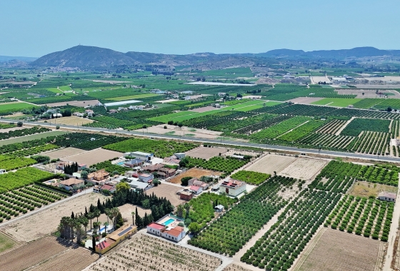 Rynek wtórny - Bliźniak - Orihuela - Los Desamparados