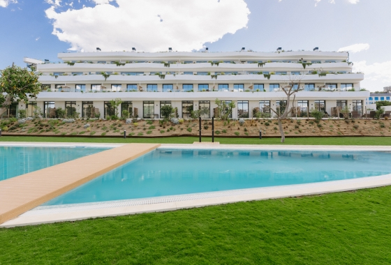 Rynek pierwotny - Apartament - Alfaz del Pi