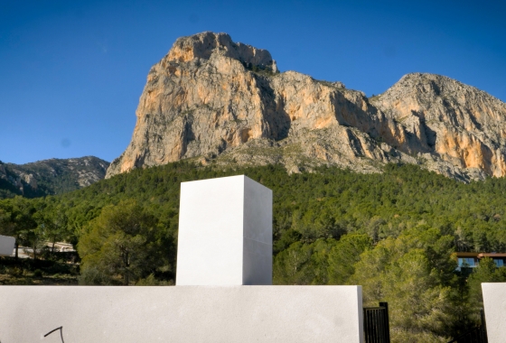 Obra nueva - Pareado - Polop