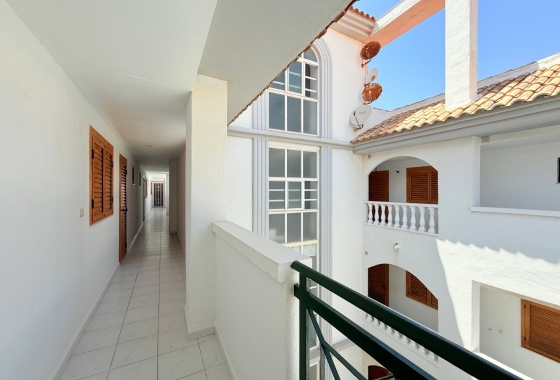 Rynek wtórny - Studio/Kawalerka - Torrevieja - La Mata