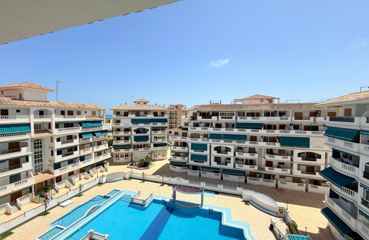 Rynek wtórny - Studio/Kawalerka - Torrevieja - La Mata