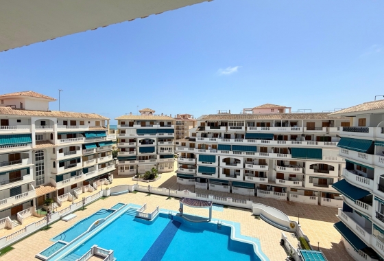 Rynek wtórny - Studio/Kawalerka - Torrevieja - La Mata