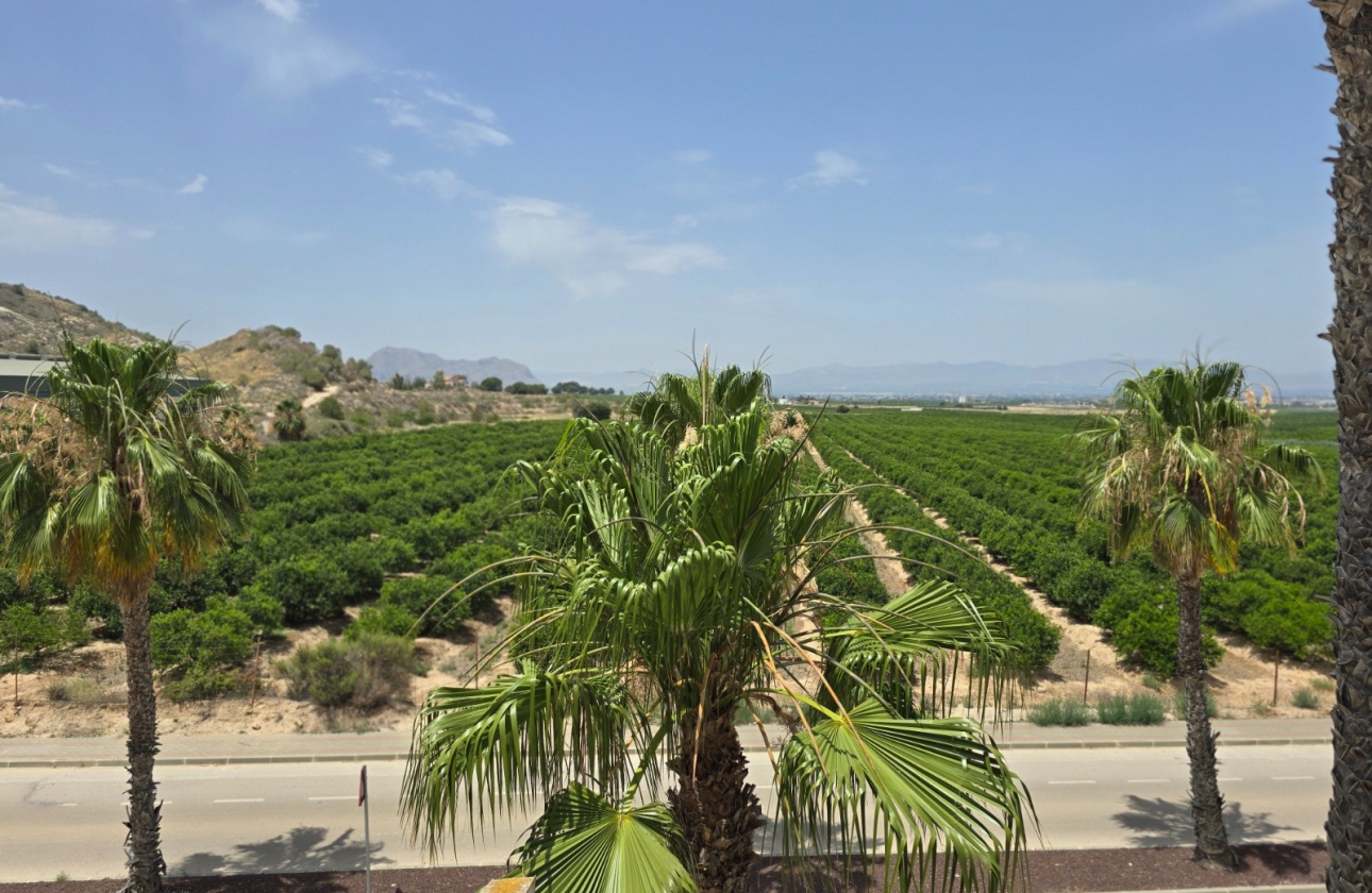 Rynek wtórny - Bliźniak - Algorfa - La Finca Golf Resort