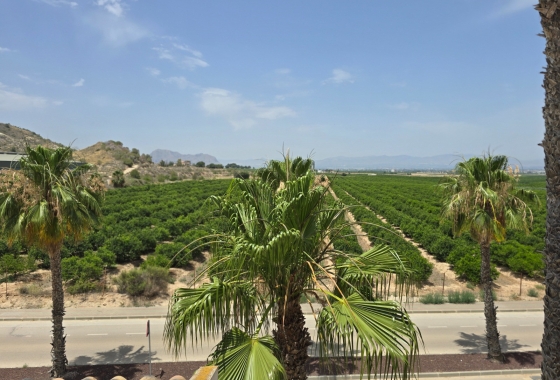 Rynek wtórny - Bliźniak - Algorfa - La Finca Golf Resort