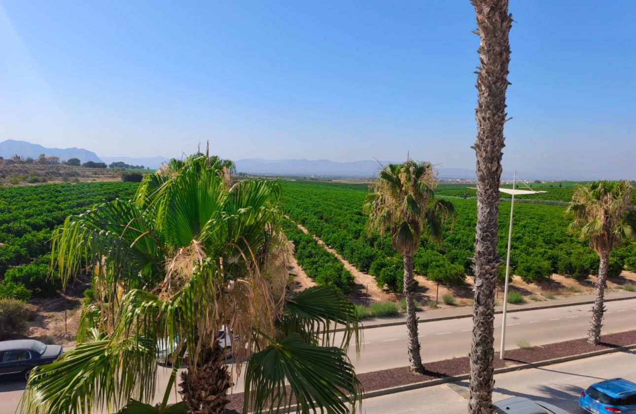 Rynek wtórny - Bliźniak - Algorfa - La Finca Golf Resort