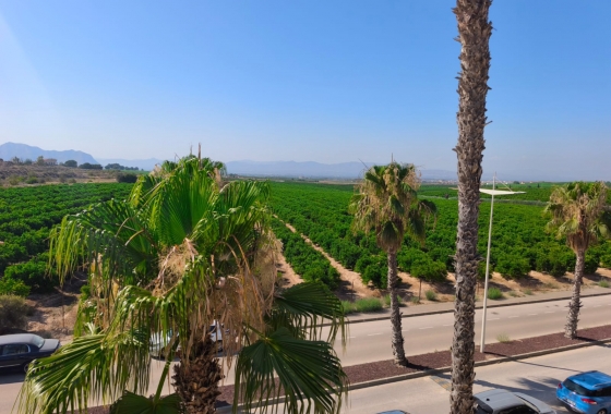 Rynek wtórny - Bliźniak - Algorfa - La Finca Golf Resort